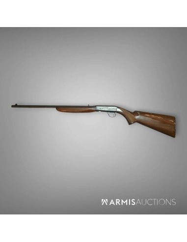 Carabine semi-automatique Norinco JW-22 Take down