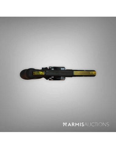 Revolver Ruger SP101, .38 Spl, canon 3 pouces,  finition Cerakote, Aile de légende  P47