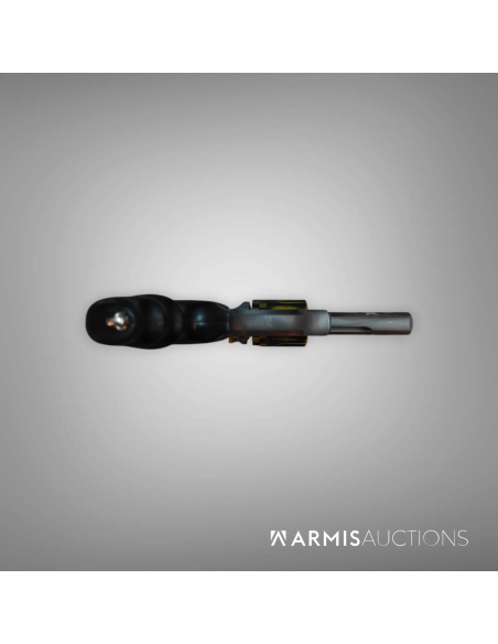 Revolver Ruger SP101, .38 Spl, canon 3 pouces, bobbed hammer, finition Cerakote, Aile de légende A10