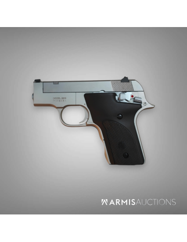 Pistolet semi-automatique Smith & Wesson 2213