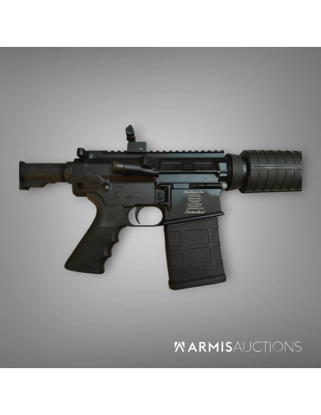 Fusil semi-automatique Windham Weaponry AR10 .308 Fusil semi-automatique Windham Weaponry AR10 .308