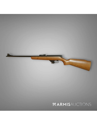 Carabine de petit calibre .22 LR Manu-Arm