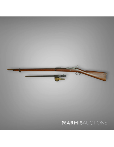 Fusil d'infanterie à tabatière Springfield U.S. Model 1884