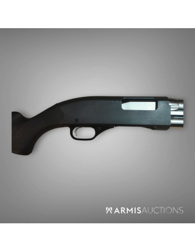 Fusil à fonctions multiples	Winchester 1300 Stainless