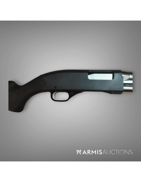 Fusil à fonctions multiples	Winchester 1300 Stainless