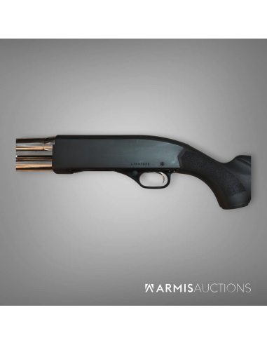 Fusil à fonctions multiples	Winchester 1300 Stainless