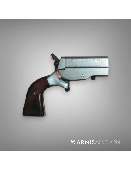Derringer HJS Lone Star