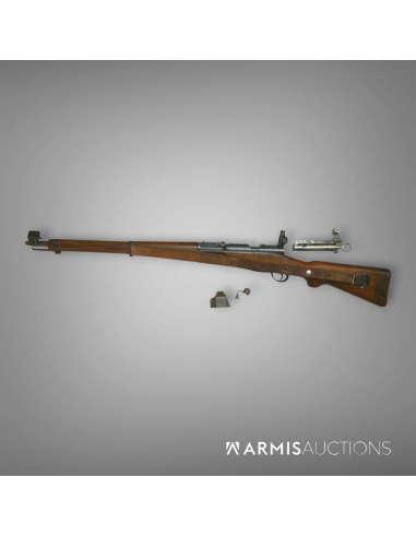 Mousqueton 31 avec dioptre et guidon sous tunnel