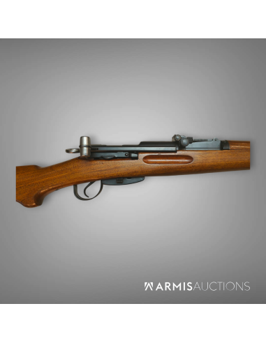 Mousqueton Schmidt-Rubin 1931 privé avec visée Reflex SMM53