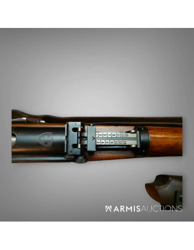 Mousqueton Schmidt-Rubin 1931 privé avec visée Reflex SMM53