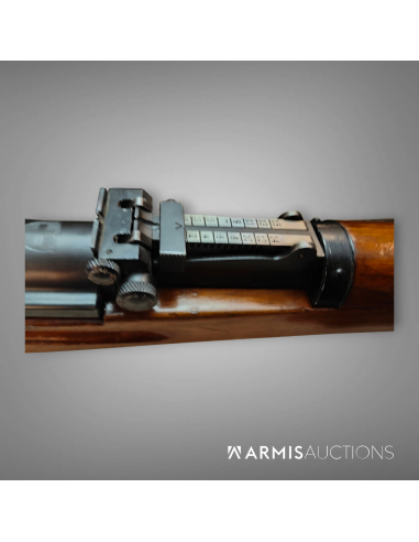 Mousqueton Schmidt-Rubin 1931 privé avec visée Reflex SMM53