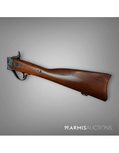 Kopie von Fusil d'ordonnance 1867/77 Peabody