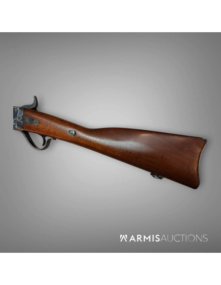Kopie von Fusil d'ordonnance 1867/77 Peabody