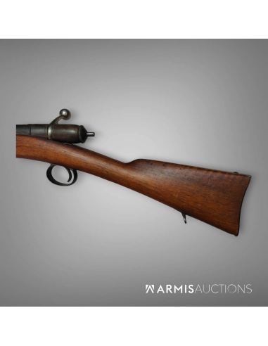 Fusil de cadet 1870 Vetterli