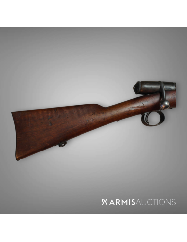 Fusil de cadet 1870 Vetterli