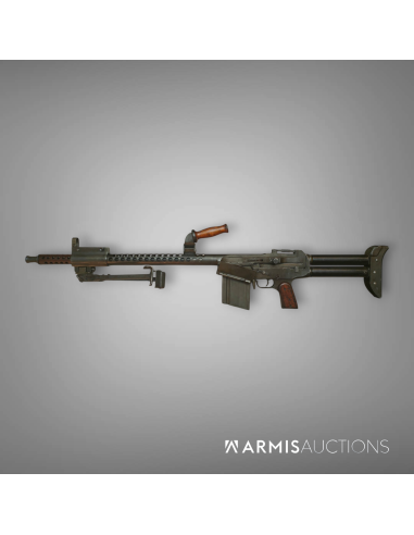 Fusil mitrailleur israélien Johnson Dror  Pattern 2