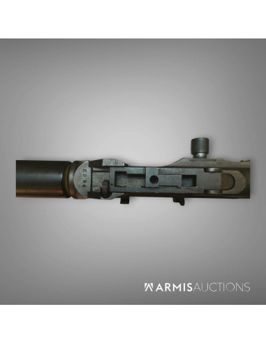 Fusil mitrailleur israélien Johnson Dror  Pattern 2