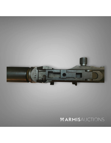 Fusil mitrailleur israélien Johnson Dror  Pattern 2 Fusil mitrailleur israélien Johnson Dror  Pattern 2