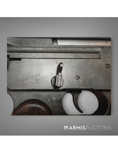 Fusil mitrailleur israélien Johnson Dror  Pattern 2