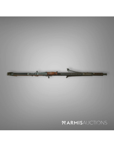 Fusil mitrailleur israélien Johnson Dror  Pattern 2