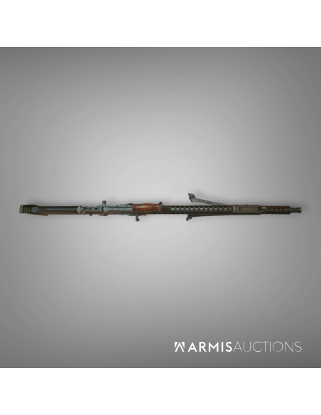 Fusil mitrailleur israélien Johnson Dror  Pattern 2 Fusil mitrailleur israélien Johnson Dror  Pattern 2