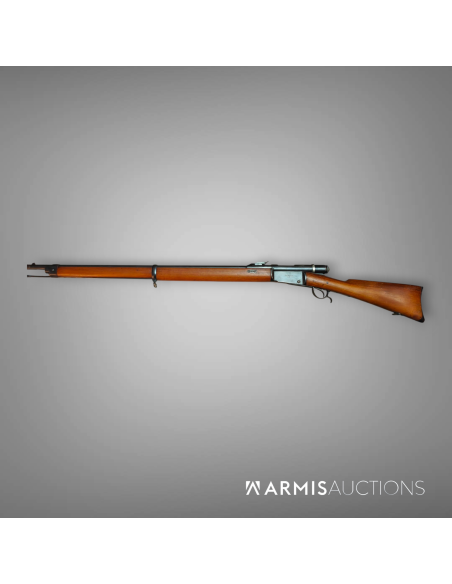Fusil d'infanterie M81 Fusil d'infanterie M81