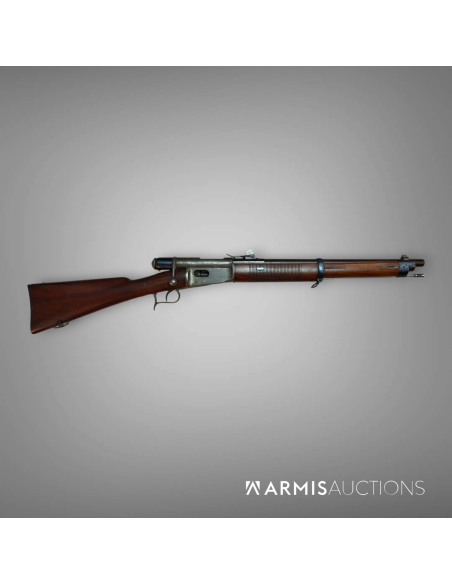 Fusil d'infanterie Vetterli 1871 pour la police