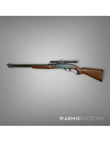 Carabine à levier de sous-garde Winchester Mle 250