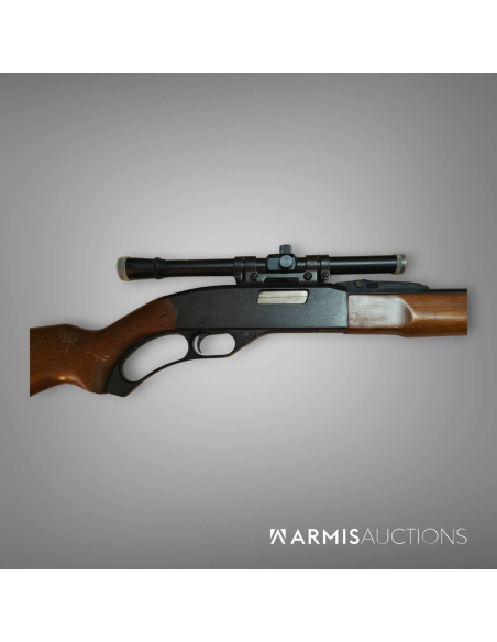 Carabine à levier de sous-garde Winchester Mle 250