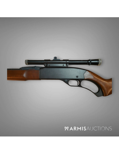 Carabine à levier de sous-garde Winchester Mle 250