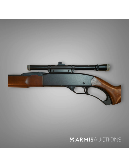 Carabine à levier de sous-garde Winchester Mle 250