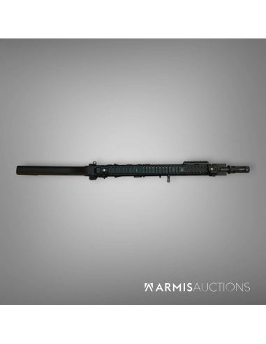 Fusil d'assaut semi-automatique B&T APC 300