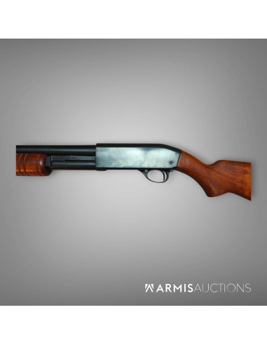 Fusil à fonctions multiples Hi-Standard K-120