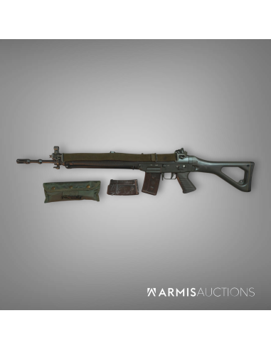 copy of Fusil d'assaut SIG PE 90