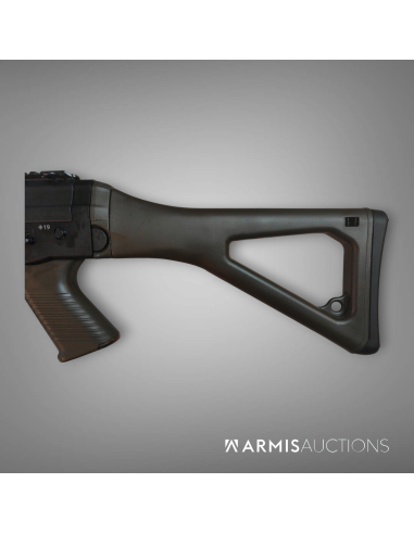 Fusil d'assaut semi-automatique SIG SAPR 751 .308 LB