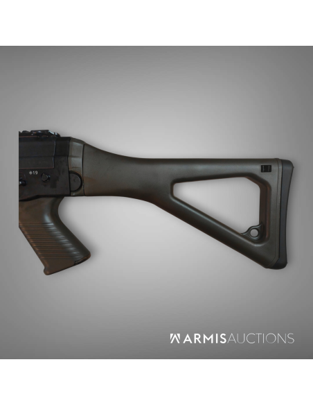 Fusil d'assaut semi-automatique SIG SAPR 751 .308 LB