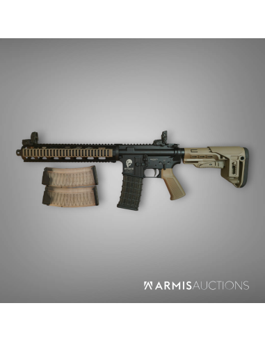 Fusil d'assaut semi-automatique SDM Team Six .223 REM