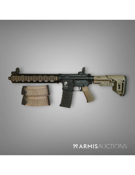 Fusil d'assaut semi-automatique SDM Team Six .223 REM