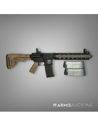 Fusil d'assaut semi-automatique SDM Team Six .223 REM