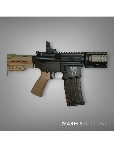 Fusil d'assaut semi-automatique SDM Team Six .223 REM