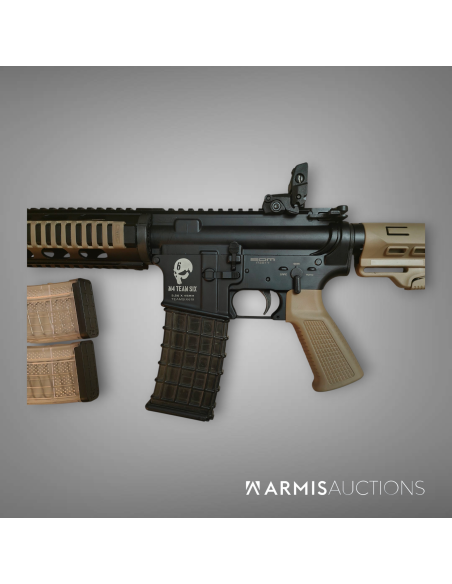 Fusil d'assaut semi-automatique SDM Team Six .223 REM