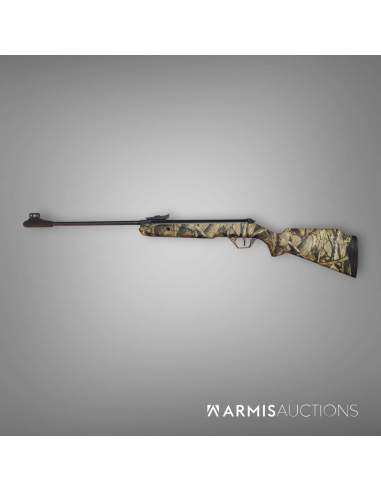 Carabine à air comprimé Diana Panther 21