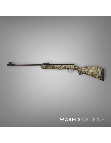 Carabine à air comprimé Diana Panther 21