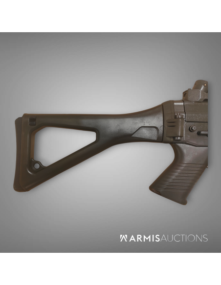 Fusil d'assaut automatique SIG 551-2 LB