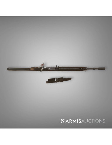 Fusil d'assaut automatique SIG 551-2 LB