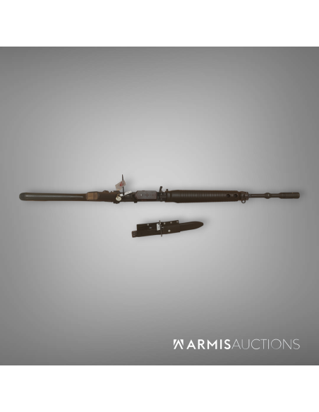 Fusil d'assaut automatique SIG 551-2 LB