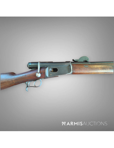 Carabine à répétition	1881 Vetterli		10.4		14037	 200.00 CHF 	 400.00 CHF
