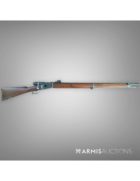 Carabine à répétition	1881 Vetterli		10.4		14037	 200.00 CHF 	 400.00 CHF