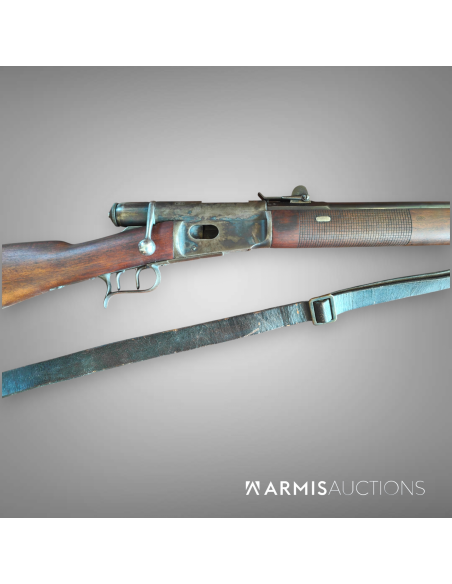 Fusil d'infanterie	1871 Vetteli			6695