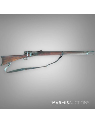 Fusil d'infanterie	1871 Vetteli			6695
